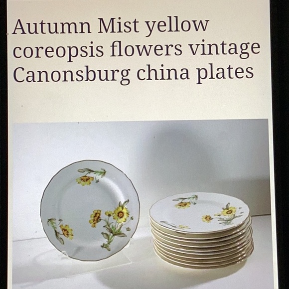 ⚜️ Vintage Autumn Mist Dinnerware RARE CANONSBURG PRISTINE - Picture 10 of 16